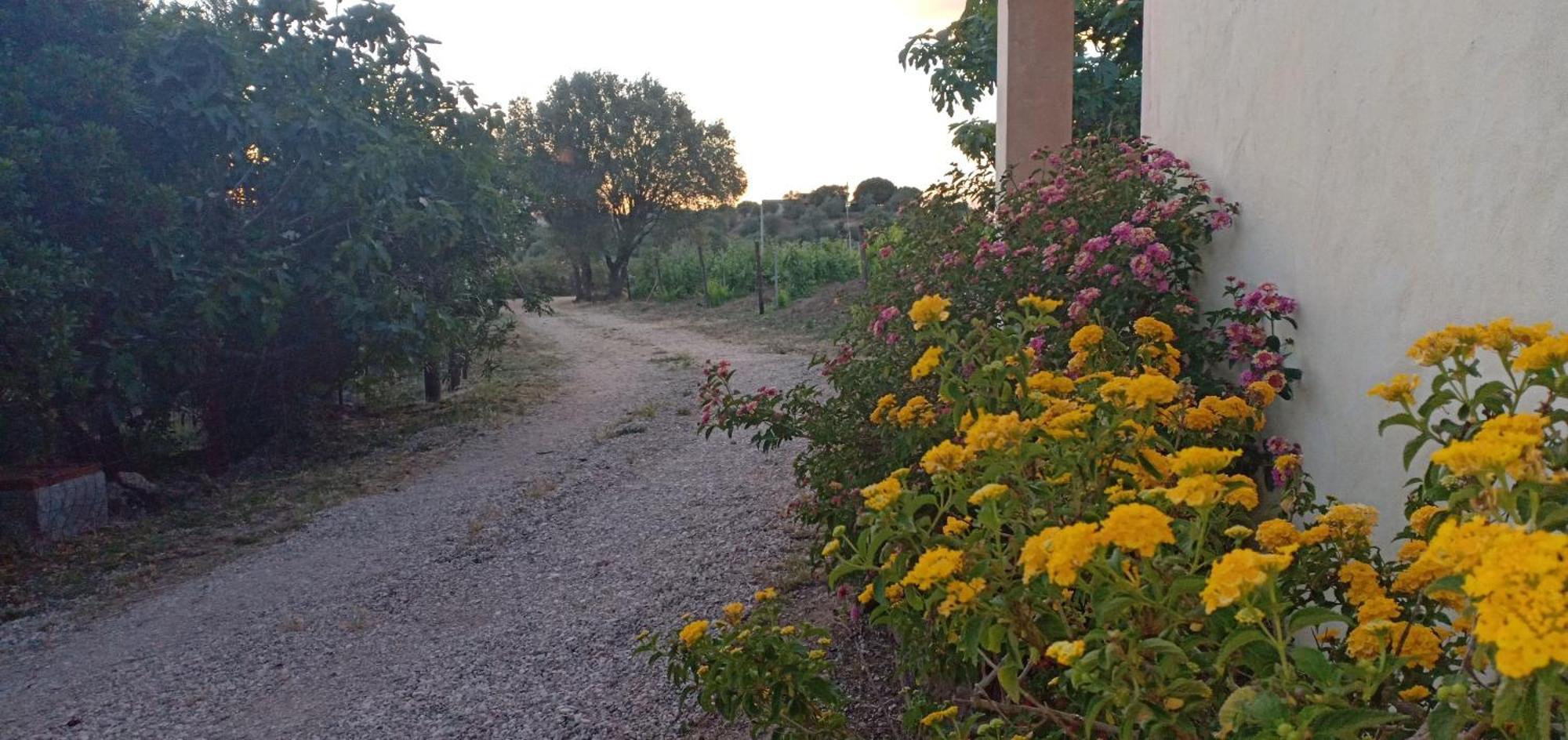 Agriturismo Muristene Villa Dorgali Kültér fotó